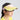 3D Foldable Visor **Gradient Buzz Pink**