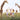 moodytiger kids having fun with multiple giraffes in an open meadow, showcasing a lively scene of human-animal interaction.