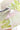 **Bloom Coral Yellow**