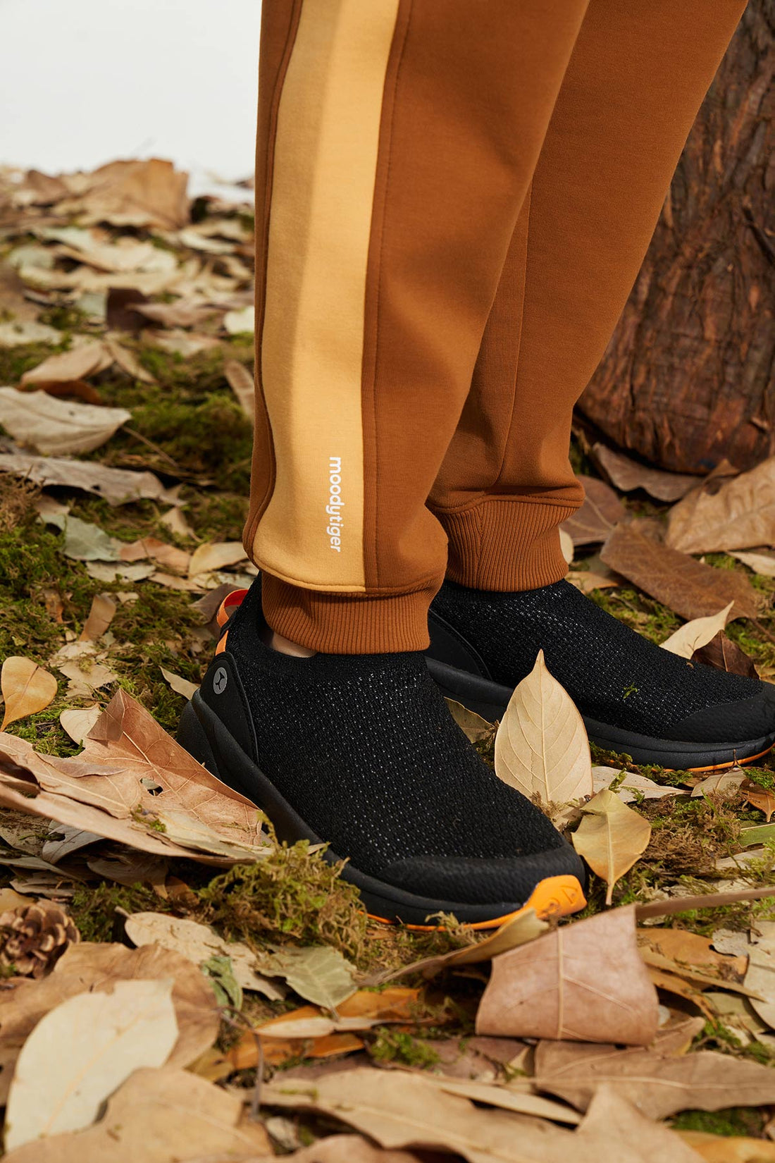 Neoprene Colour Blocking Pants **Nut Brown**