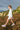 Running Free Jacket **Cloud Dancer**
