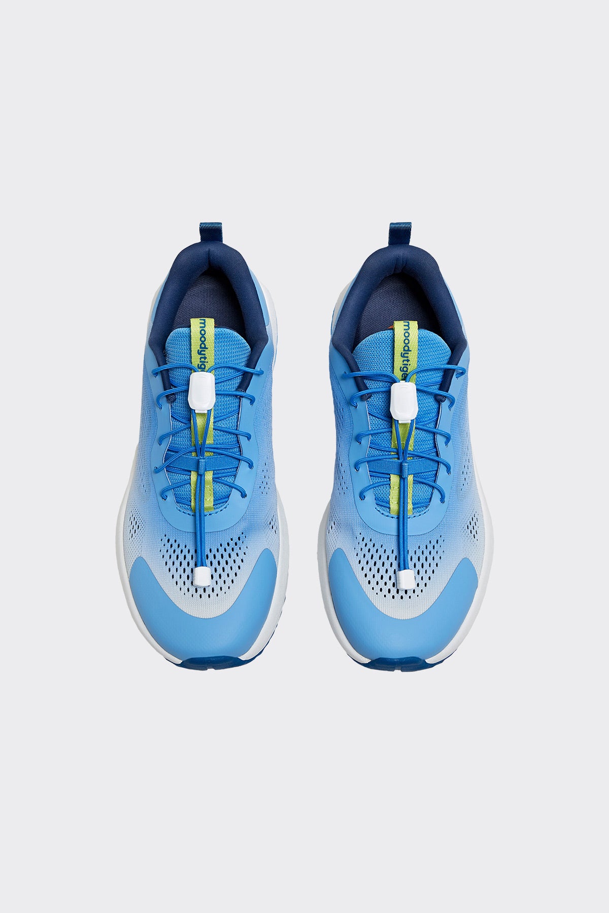 **Brisbane Blue**