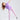 Touch Sport Tee **Whelan Purple**